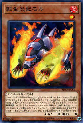 С꡼㤨ͷOCG ǥ奨󥹥 žå SD35 SD35-JP002 NP šۡפβǤʤ72ߤˤʤޤ