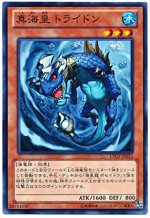 ͷOCG ǥ奨󥹥  ȥ饤ɥ LTGY LTGY-JP033 š