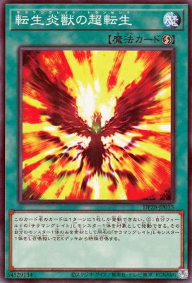 ͷOCG ǥ奨󥹥 žäĶž DP28 DP28-JP015 š