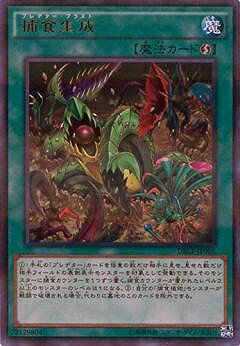 С꡼㤨ͷOCG ǥ奨󥹥 Ῡ DBLE DBLE-JP005 URPR šۡפβǤʤ87ߤˤʤޤ