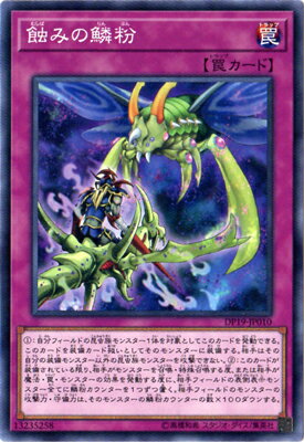 ͷ����OCG �ǥ奨���󥹥����� ���ߤ���ʴ DP19 DP19-JP010 ����š�