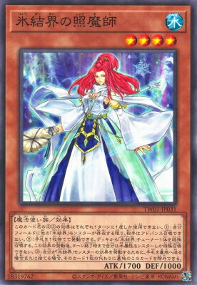 ͷ����OCG �ǥ奨���󥹥����� ɹ�볦�ξ���� TW01 TW01-JP031 ����š�