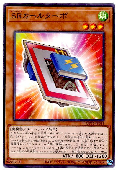 ͷOCG ǥ奨󥹥 SR륿 DP25 DP25-JP015 š