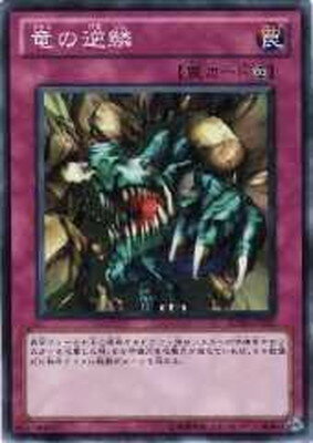 ͷ����OCG �ǥ奨���󥹥����� ε�ε��� DL5 DL5-044 ����š�