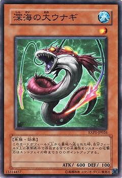 С꡼㤨ͷOCG ǥ奨󥹥 祦ʥ EXP1 EXP1-JP026 šۡפβǤʤ19ߤˤʤޤ