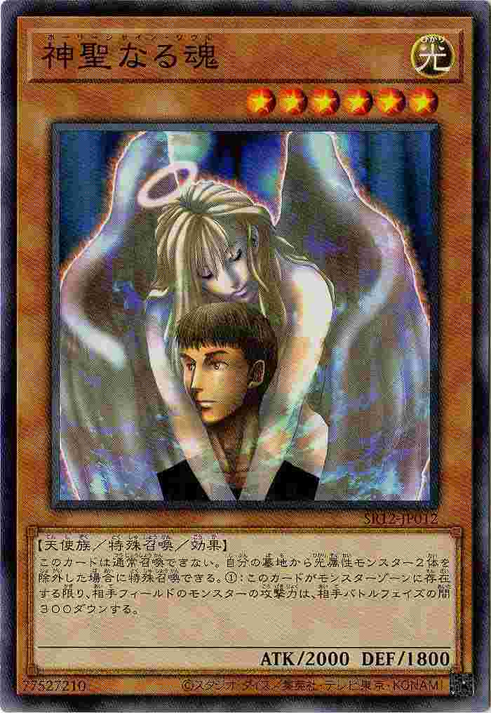 ͷ����OCG �ǥ奨���󥹥����� �����ʤ뺲 SR12 SR12-JP012 ����š�