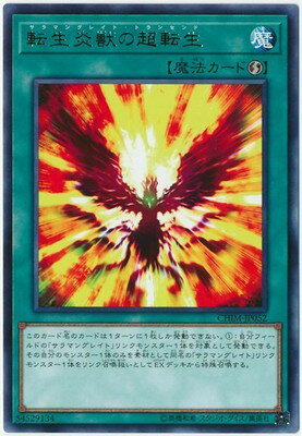 ͷOCG ǥ奨󥹥 žäĶž CHIM CHIM-JP052 R š