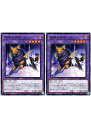遊戯王OCG デュエルモンスターズ 神碑の牙ゲーリ DBTM DBTM-JP039 2枚セット 【中古】