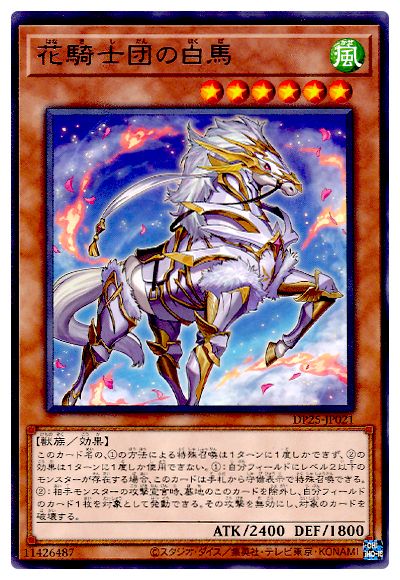 š ͷOCG ǥ奨󥹥 ֵĤ DP25 DP25-JP021 R