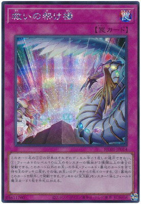 遊戯王OCG デュエルモンスターズ 救いの架け橋 HC01 HC01-JP014 SER 【中古】