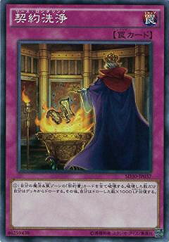 ͷOCG ǥ奨󥹥  SD30 SD30-JP037 š