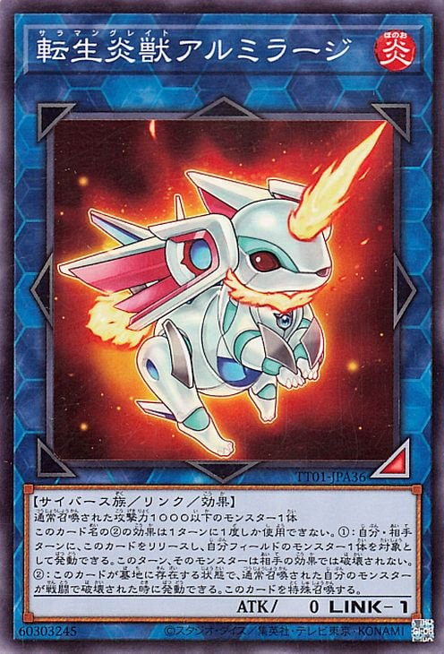 ͷ����OCG �ǥ奨���󥹥����� ž����å���ߥ顼�� TT01 TT01-JPA36 ����š�