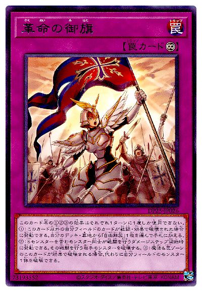 ͷOCG ǥ奨󥹥 ̿θ DP25 DP25-JP026 R š