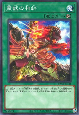 ͷ����OCG �ǥ奨���󥹥����� ��ä���� TW01 TW01-JP141 ����š�