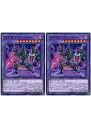 遊戯王OCG デュエルモンスターズ 剣闘獣アンダバタエ CP17 CP17-JP026 2枚セット 【中古】