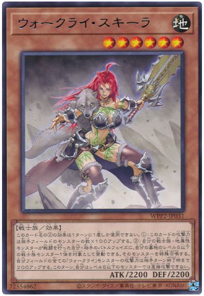 ͷ����OCG �ǥ奨���󥹥����� ���������饤���������� WPP2 WPP2-JP031 R ����š�