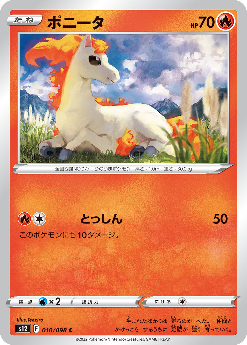 ݥ󥫡ɥ ݥˡ S12 010/098 C ĥѥå ѥȥꥬ š