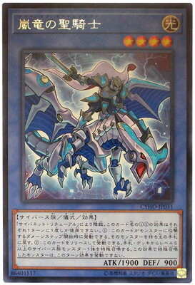 ͷOCG ǥ奨󥹥 ε CYHO CYHO-JP031 R š