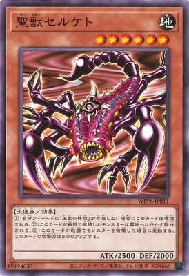 ͷ����OCG �ǥ奨���󥹥����� ���å��륱�� WPP6 WPP6-JP011 ����š�