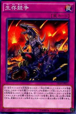 ͷ����OCG �ǥ奨���󥹥����� ��¸���� SR04 SR04-JP031 ����š�