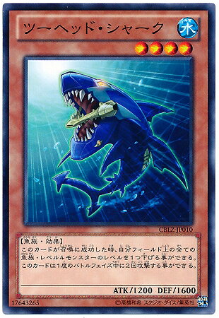 ͷ����OCG �ǥ奨���󥹥����� �ġ��إåɡ����㡼�� CBLZ CBLZ-JP010 ����š�