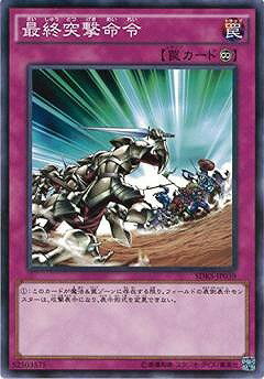 ͷOCG ǥ奨󥹥 ǽͷ̿ SDKS SDKS-JP039 š