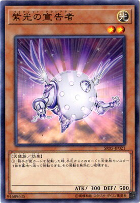 ͷ����OCG �ǥ奨���󥹥����� ��������� SR05 SR05-JP021 ����š�