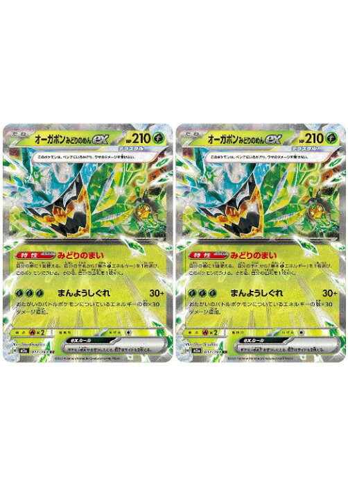 楽天市場】オーガポンみどりのめんex 125/101 / SARの通販