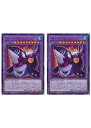 遊戯王OCG デュエルモンスターズ デストーイ・クルーエル・ホエール ROTD ROTD-JP039 R 2枚セット 【中古】