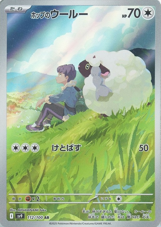 �ݥ���󥫡��ɥ����� �ۥåפΥ����롼 SV9 SV9 112/100 AR ����š�