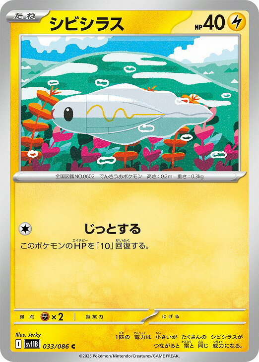 シビシラス C [033/086]