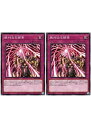 遊戯王OCG デュエルモンスターズ 絶対なる捕食 WPP3 WPP3-JP047 2枚セット 【中古】
