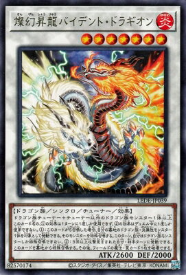 ͷOCG ǥ奨󥹥 ζХǥȡɥ饮 LEDE LEDE-JP039 R š