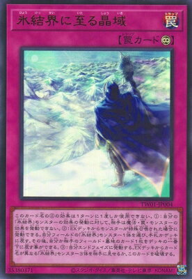 ͷ����OCG �ǥ奨���󥹥����� ɹ�볦�˻�뾽�� TW01 TW01-JP004 UR ����š�