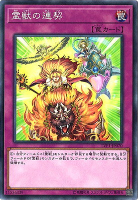 ͷOCG ǥ奨󥹥 äϢ LVP1 LVP1-JP070 š