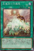 遊戯王OCG デュエルモンスターズ 星遺物の守護竜 QCCP QCCP-JP197 SER 【中古】