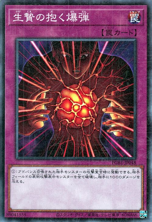 ͷ����OCG �ǥ奨���󥹥����� ���Ӥ��������� PGB1 PGB1-JP048 MR ����š�