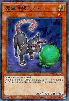 ͷ����OCG �ǥ奨���󥹥����� �����å��㥷�� TW02 TW02-JP013 NP ����š�