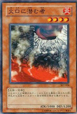 ͷ����OCG �ǥ奨���󥹥����� �и�������� 307 307-008 ����š�