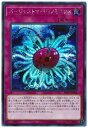 遊戯王OCG デュエルモンスターズ バージェストマ・ディノミスクス RC03 RC03-JP046 SER 【中古】