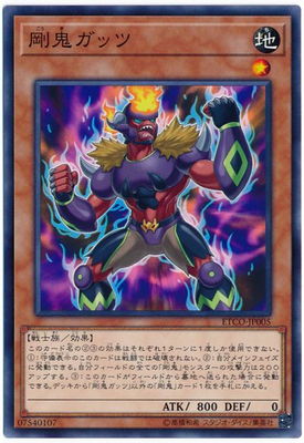 ͷOCG ǥ奨󥹥 䵴å ETCO ETCO-JP005 š