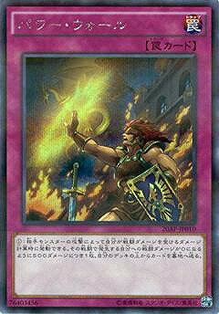 遊戯王OCG デュエルモンスターズ パワー・ウォール 20AP 20AP-JP010 SEPR 【中古】
