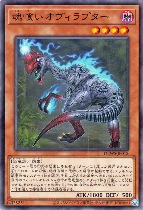 ͷ����OCG �ǥ奨���󥹥����� ��������������ץ��� DBWS DBWS-JP012 ����š�