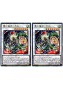 遊戯王OCG デュエルモンスターズ 翼の魔妖-天狗 DBHS DBHS-JP034 2枚セット 【中古】