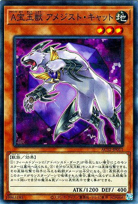 ͷOCG ǥ奨󥹥 A̽ ᥸ȡå AC02 AC02-JP011 NP š