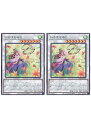 遊戯王OCG デュエルモンスターズ いろはもみじ BACH BACH-JP042 2枚セット 【中古】