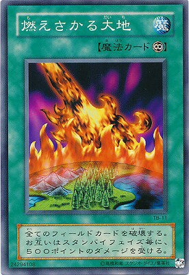 ͷ����OCG �ǥ奨���󥹥����� ǳ������������ TB TB-11 ����š�