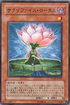 С꡼㤨ͷOCG ǥ奨󥹥 ե PTDN PTDN-JP004 šۡפβǤʤ25ߤˤʤޤ