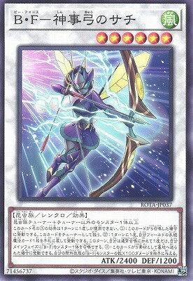 С꡼㤨ͷOCG ǥ奨󥹥 BF-ݤΥ ROTA ROTA-JP037 šۡפβǤʤ19ߤˤʤޤ