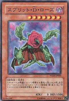 ͷ����OCG �ǥ奨���󥹥����� ���ץ�åȡ�D�������� PTDN PTDN-JP005 ����š�